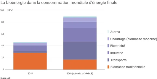 Bioénergie