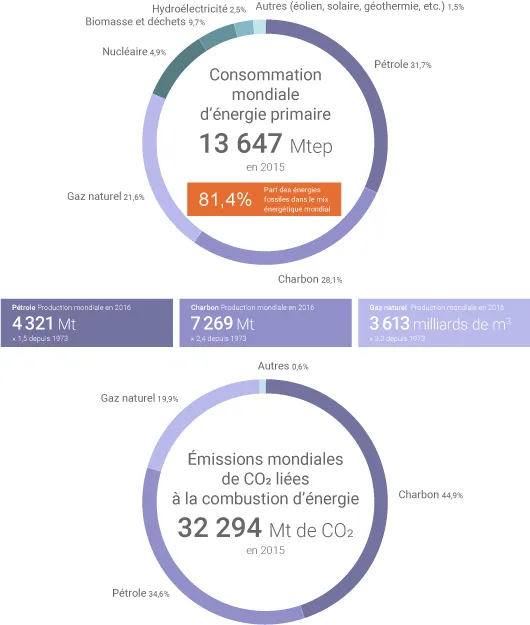 Répartition de la consommation mondiale d'énergie primaire en 2015