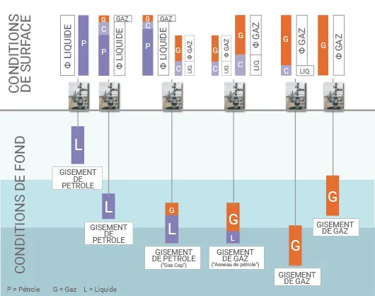 Hydrocarbures liquides et gazeux