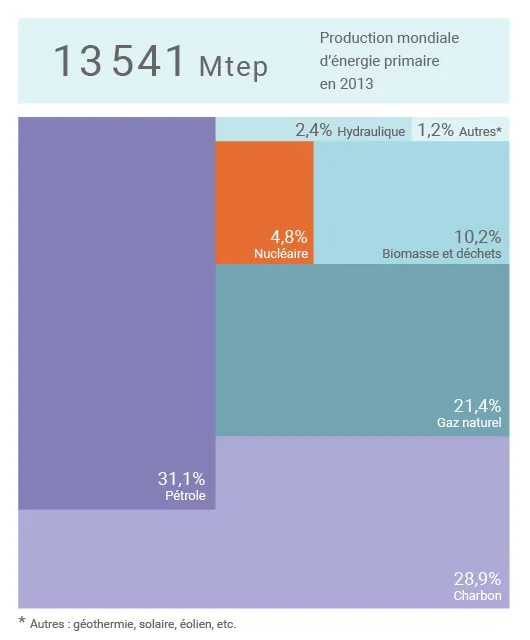 Mix énergétique mondial en 2013 (©Connaissance des Énergies)