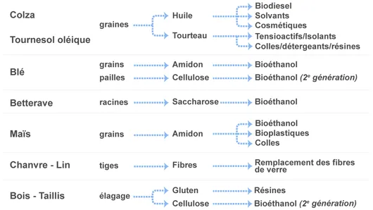 Voies de valorisation de la biomasse