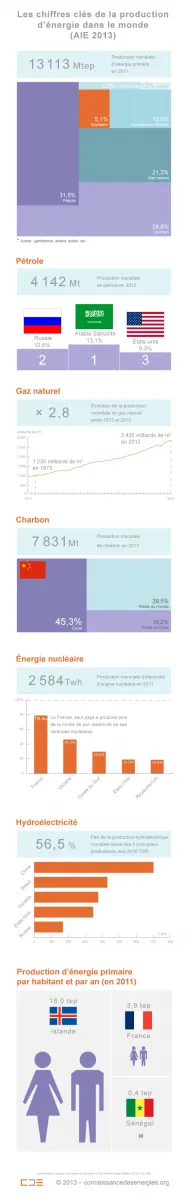 L'AIE délivre les dernières données consolidées dont elle dispose. La plupart d'entre elles se réfèrent à l'année 2012 mais la production globale d'énergie primaire indiquée concerne l'année 2011. (©Connaissance des Énergies)
