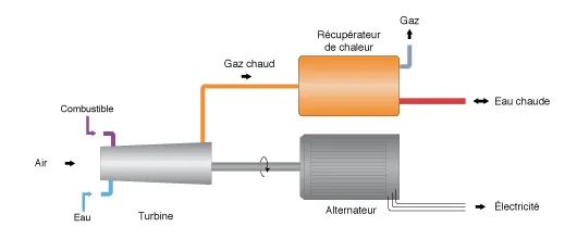 schéma de fonctionnement de la cogénération