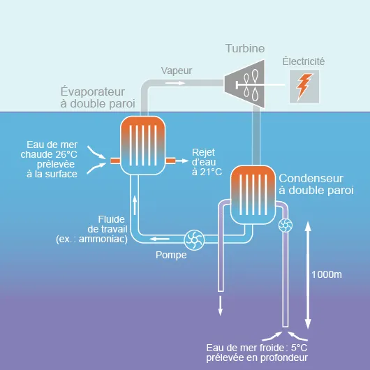 Principe de fonctionnement d'une centrale ETM en cycle fermé (©2012)﻿﻿﻿
