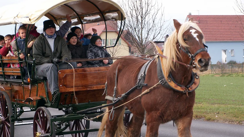 A Ungersheim (Haut-Rhin, 2 057 habitants), des transports alternatifs sont privilégiés pour réduire les émissions de gaz à effet de serre des transports. Le ramassage scolaire d’une vingtaine d’enfants s’effectue par exemple avec un cheval de traie. De nombreux bâtiments publics sont par ailleurs chauffés par des installations solaires et une chaufferie à bois. (photo : ©Ungersheim).