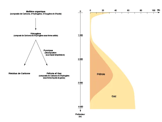 Hydrocarbures générés à partir du kérogène en fonction de la profondeur d’enfouissement (©2011, d'après le département de géologie de l'université Laval)