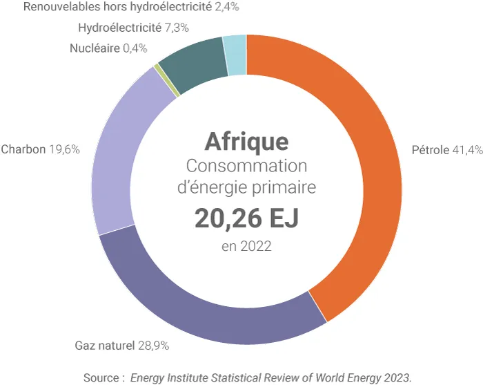Mix de consommation d'énergie primaire de l'Afrique