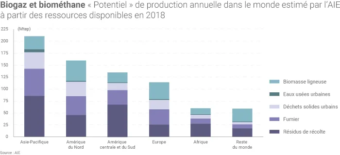 Production théorique de biogaz et de biométhane dans le monde en 2018