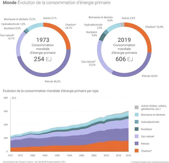 Consommation d'énergie primaire dans le monde