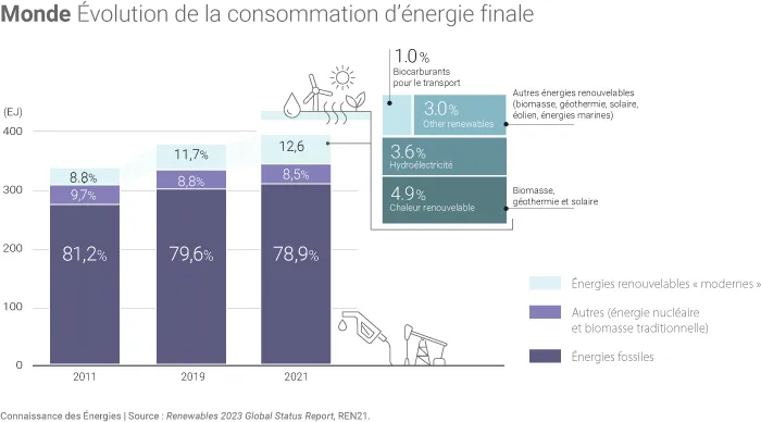 Aperçu global sur la situation mondiale des énergies renouvelables