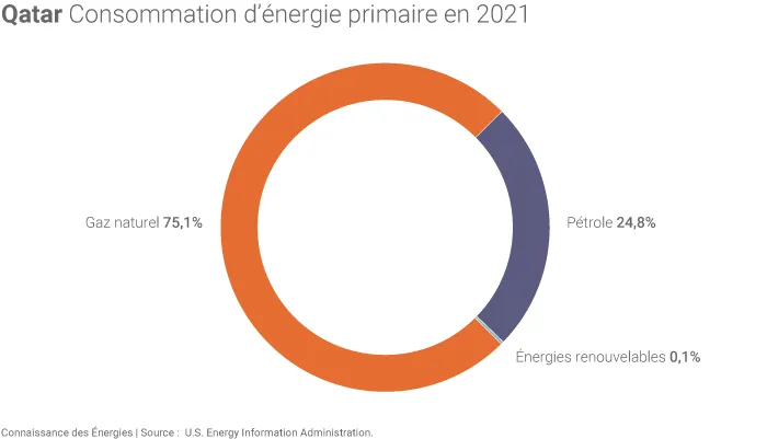 Mix énergétique du Qatar en 2021