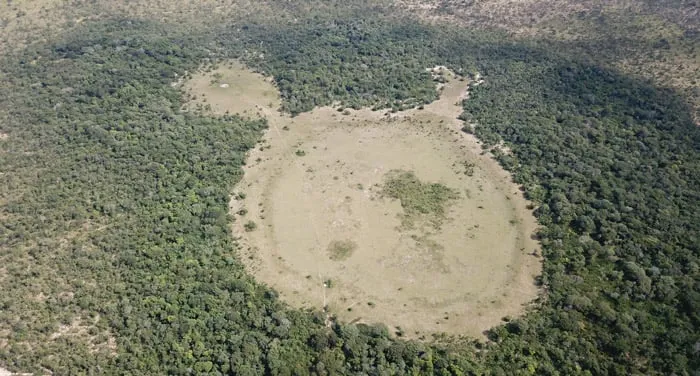 Rond de sorcière hydrogene