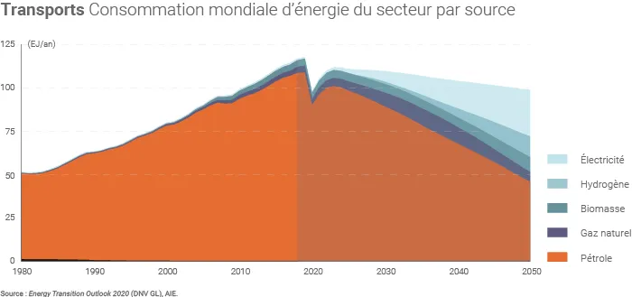 Consommation mondiale d'énergie du secteur transports