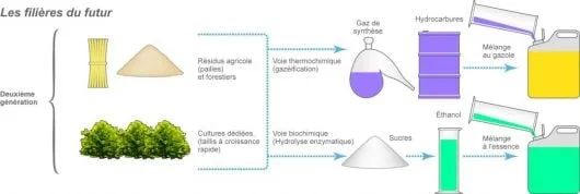 Biocarburant de deuxième génération