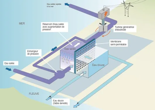 Modèle de fonctionnement du prototype de central osmotique de Tofte (D’après Statkraft et AFP)